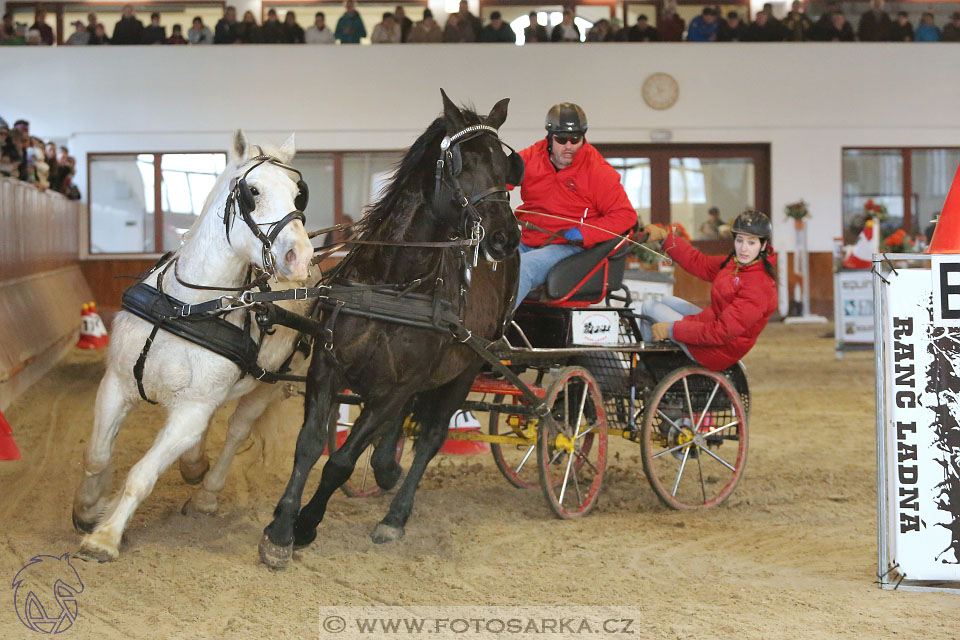 25.2.2017 - spřežení Brno