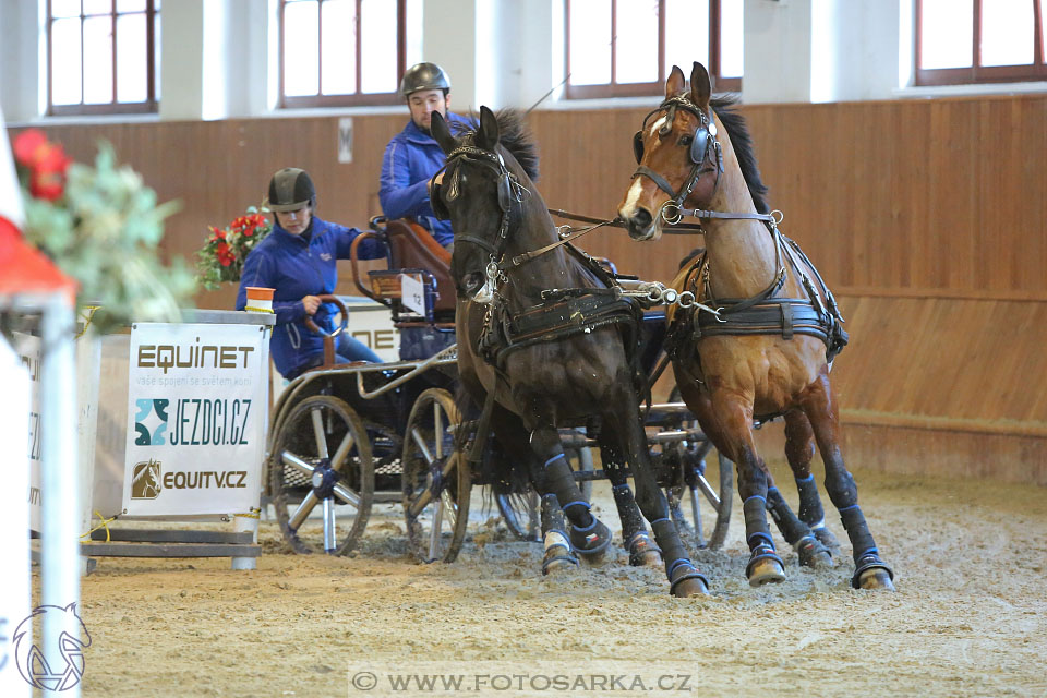 25.2.2017 - spřežení Brno