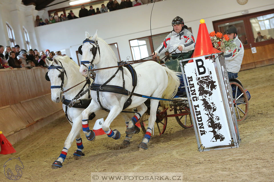 25.2.2017 - spřežení Brno