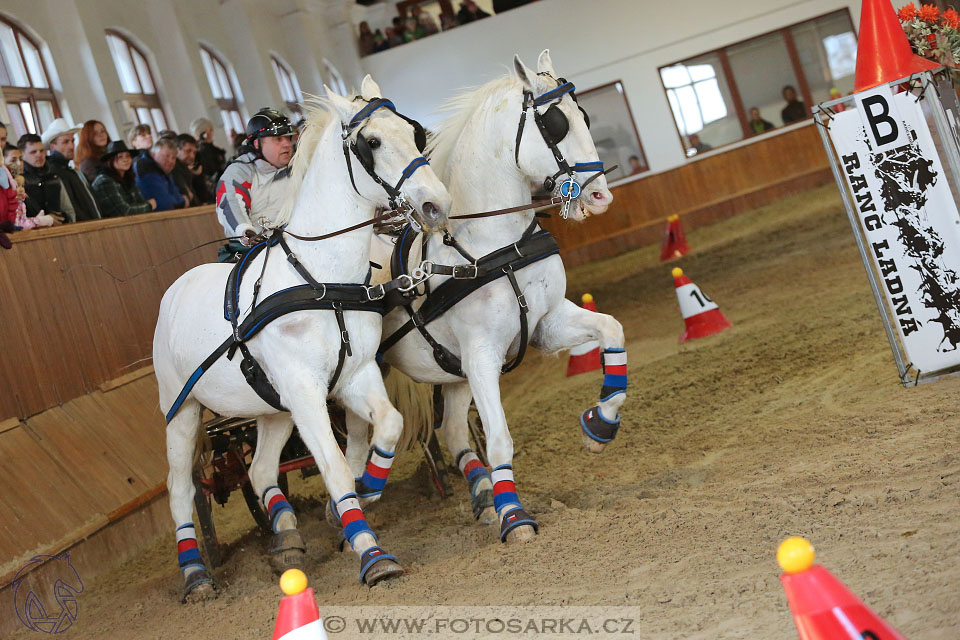 25.2.2017 - spřežení Brno