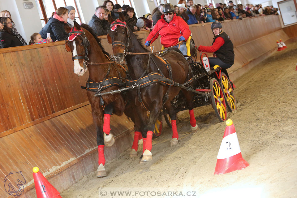 25.2.2017 - spřežení Brno