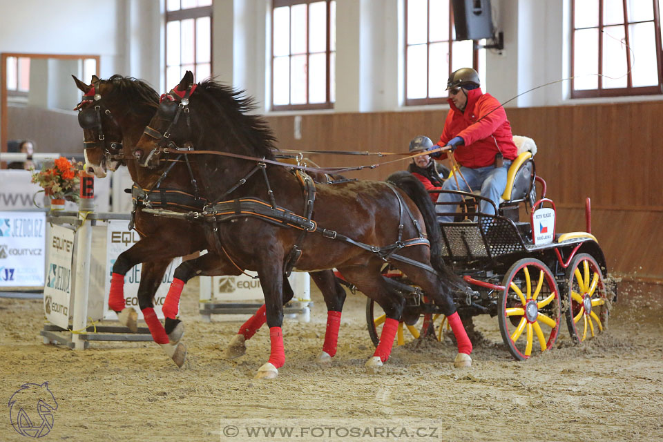 25.2.2017 - spřežení Brno