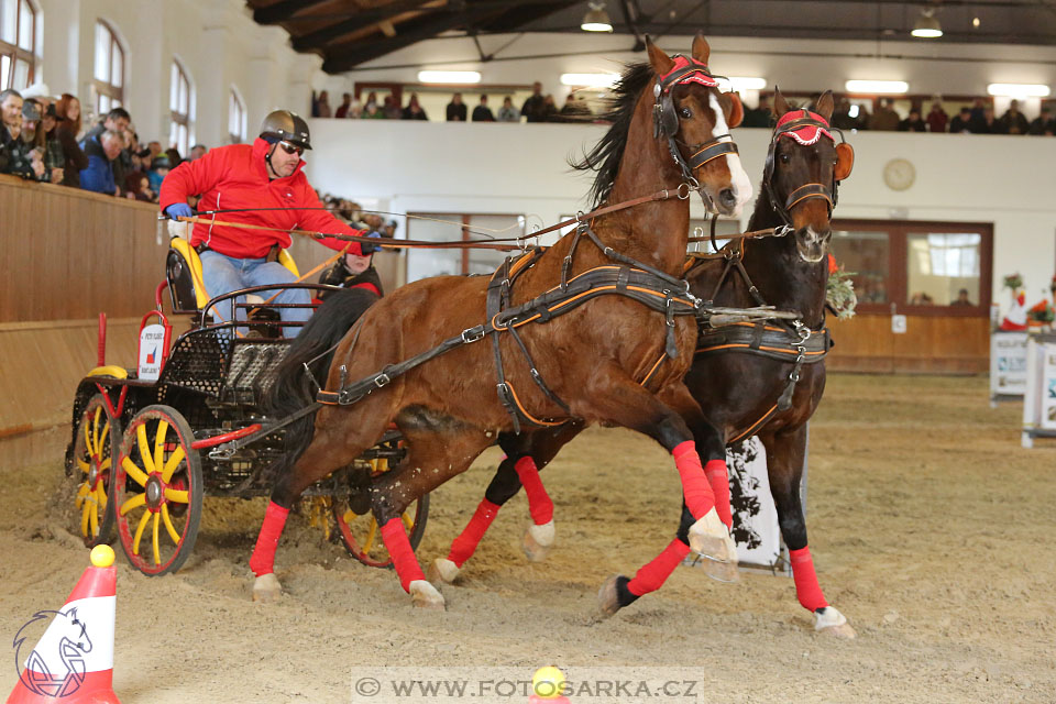 25.2.2017 - spřežení Brno