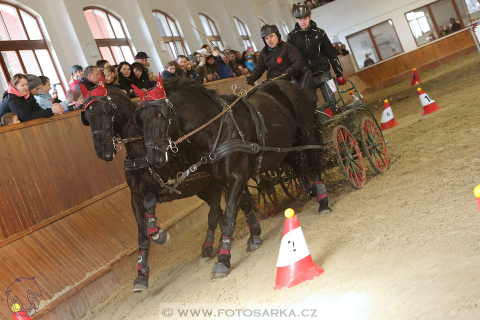 25.2.2017 - spřežení Brno