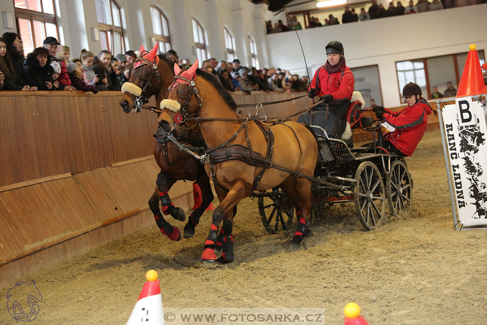 25.2.2017 - spřežení Brno