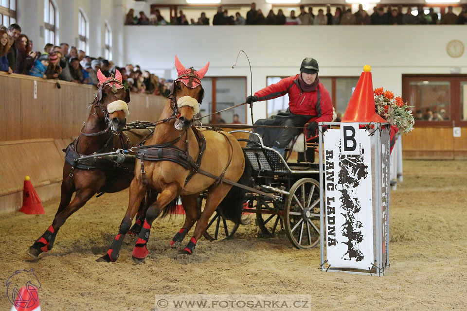 25.2.2017 - spřežení Brno