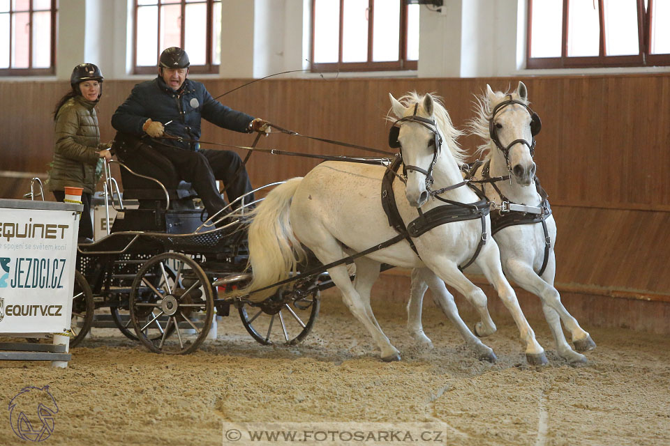 25.2.2017 - spřežení Brno