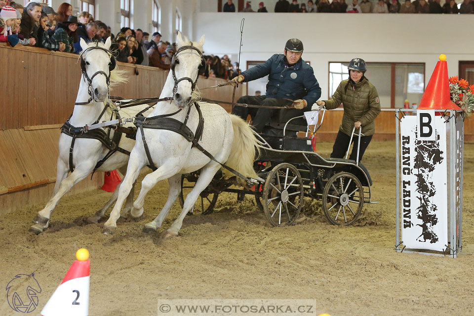 25.2.2017 - spřežení Brno