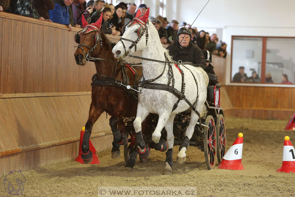 25.2.2017 - spřežení Brno