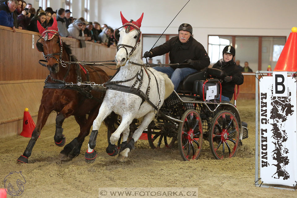 25.2.2017 - spřežení Brno