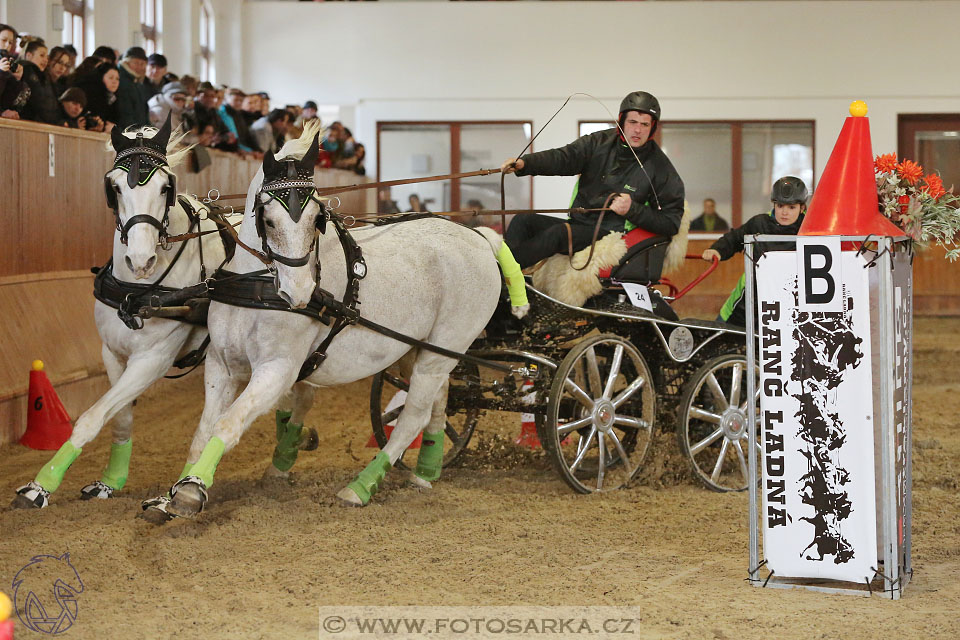 25.2.2017 - spřežení Brno