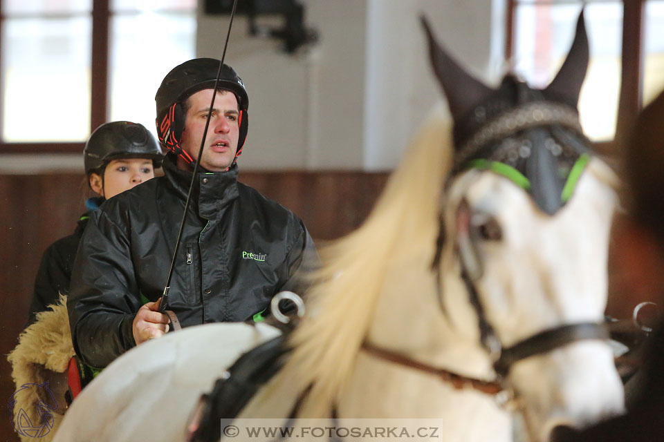 25.2.2017 - spřežení Brno