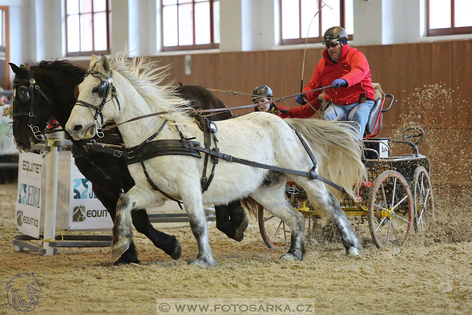 25.2.2017 - spřežení Brno