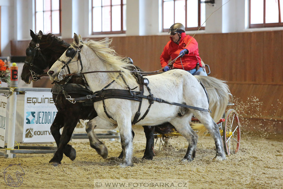 25.2.2017 - spřežení Brno