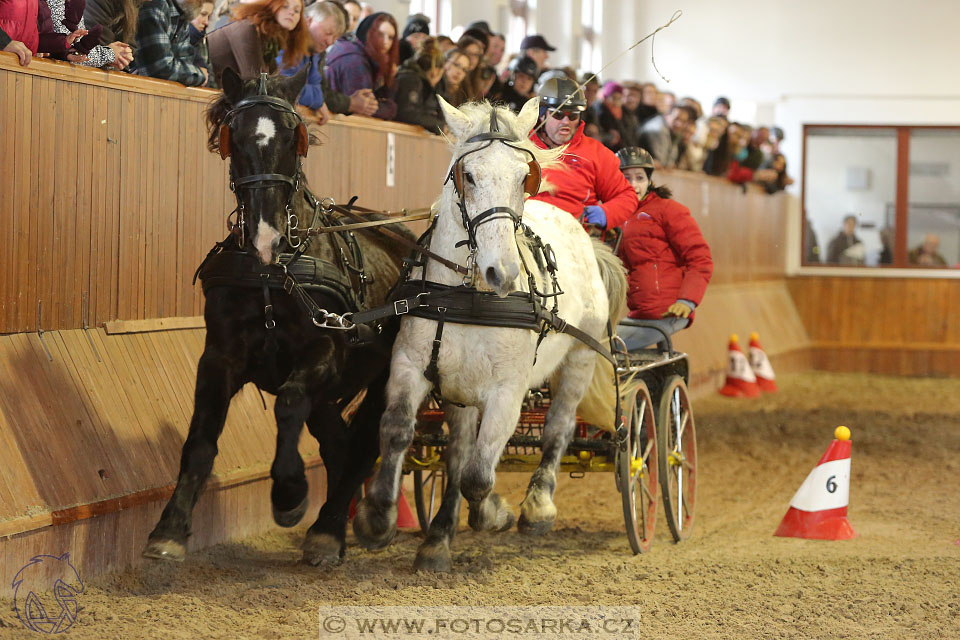 25.2.2017 - spřežení Brno