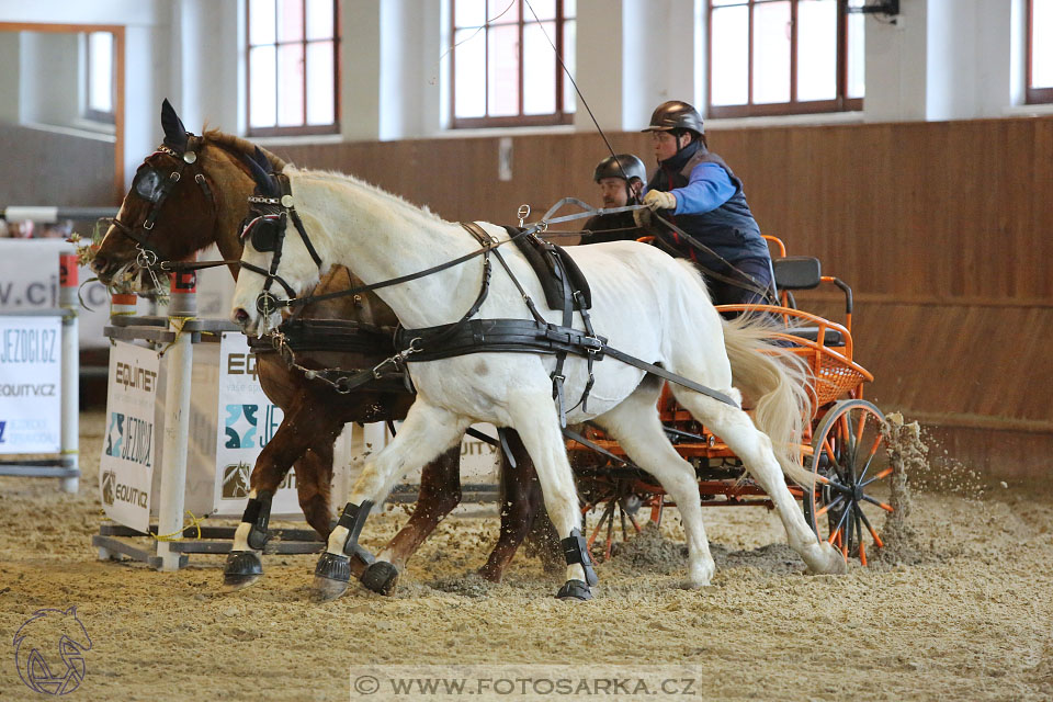 25.2.2017 - spřežení Brno