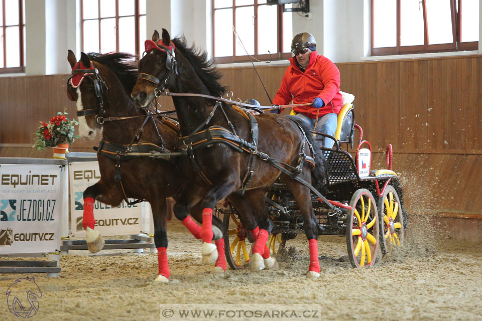 25.2.2017 - spřežení Brno