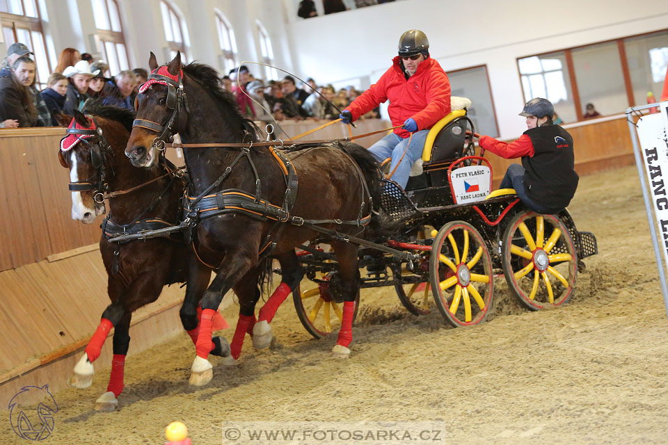 25.2.2017 - spřežení Brno