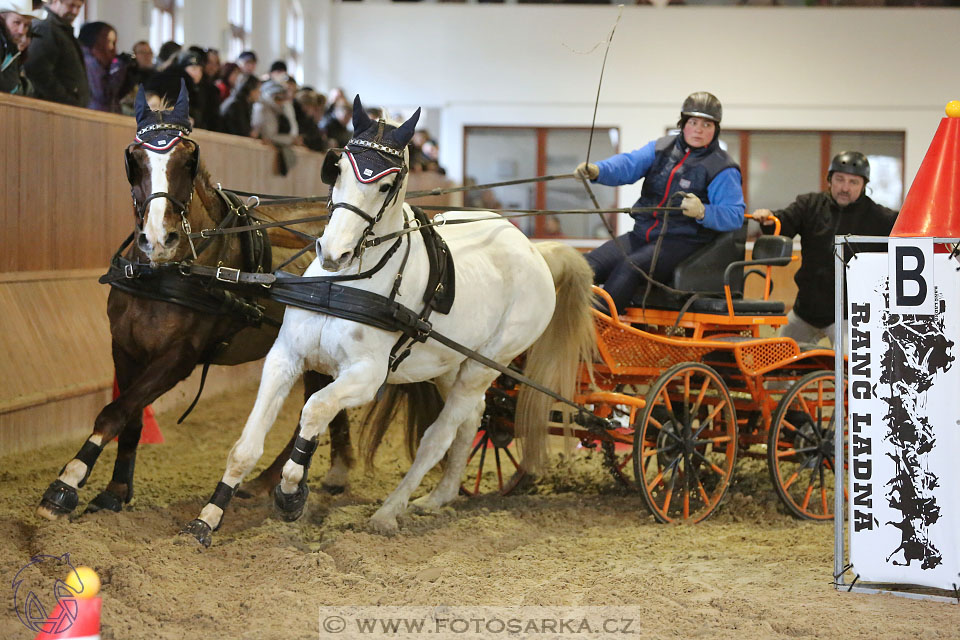 25.2.2017 - spřežení Brno