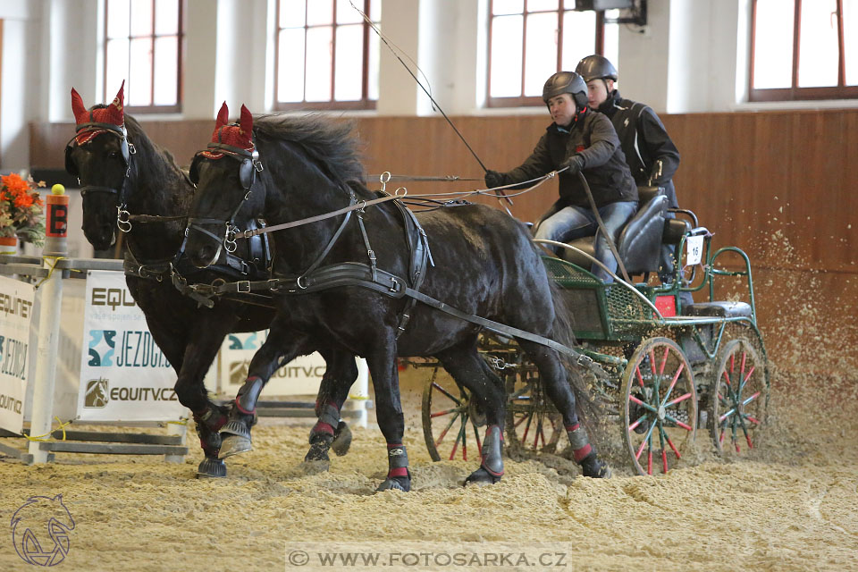 25.2.2017 - spřežení Brno