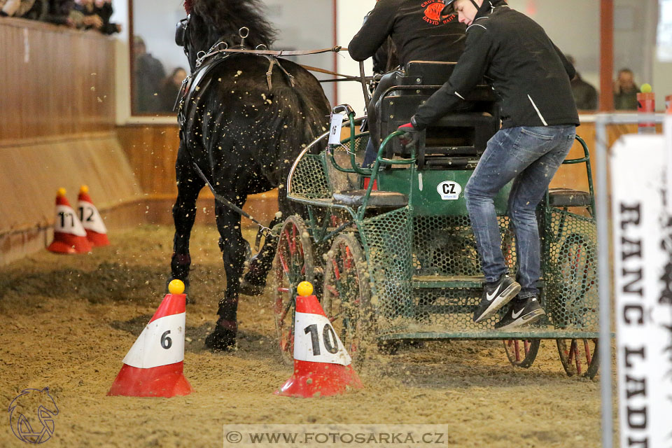 25.2.2017 - spřežení Brno