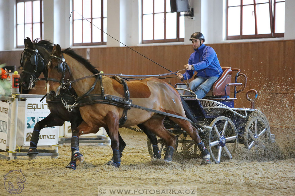 25.2.2017 - spřežení Brno