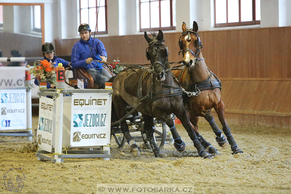 25.2.2017 - spřežení Brno