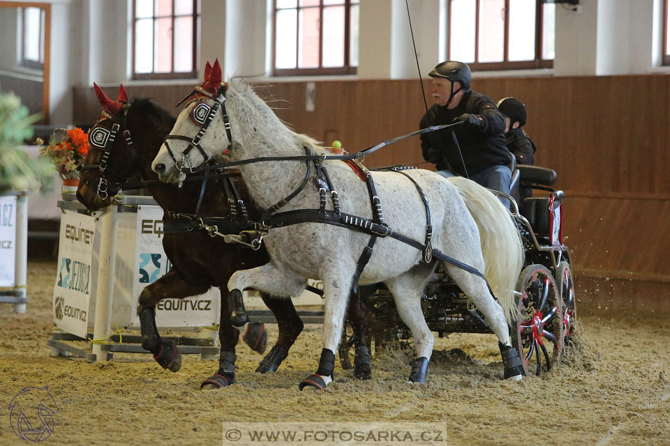 25.2.2017 - spřežení Brno