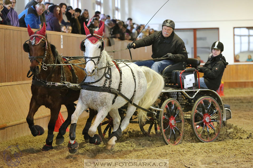 25.2.2017 - spřežení Brno