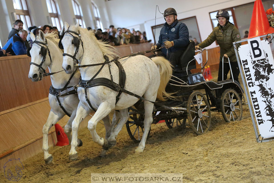 25.2.2017 - spřežení Brno