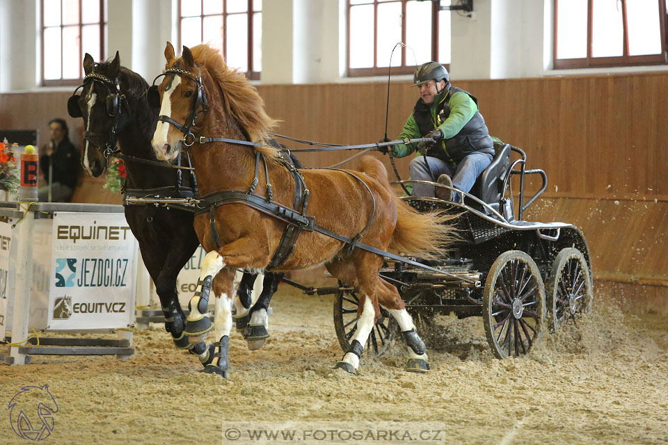 25.2.2017 - spřežení Brno