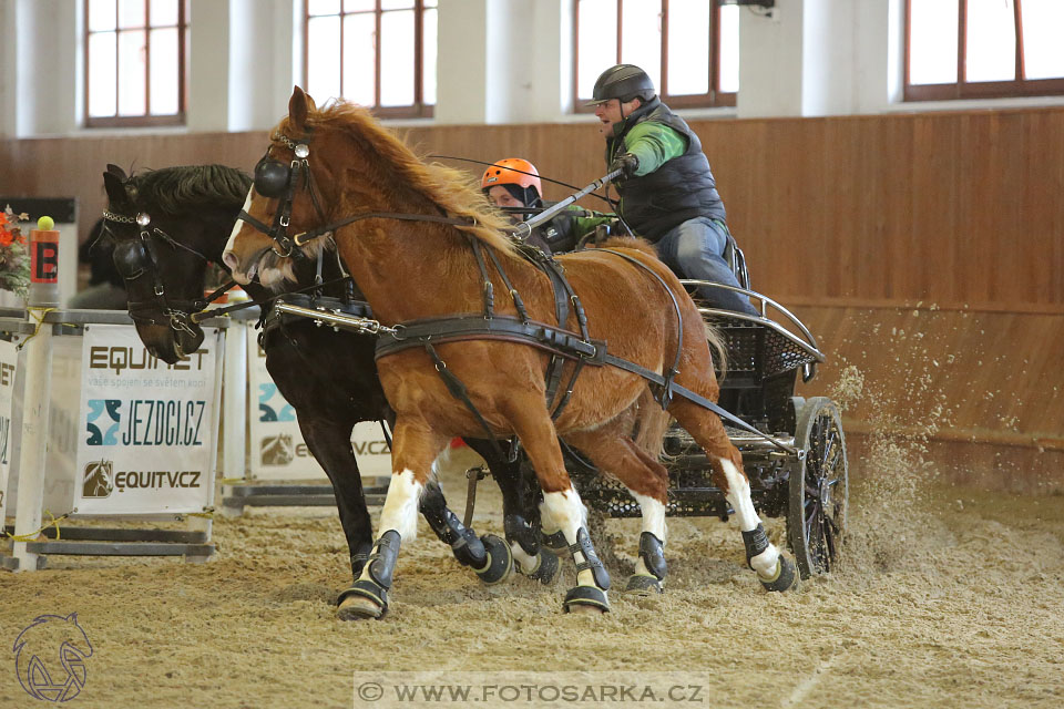 25.2.2017 - spřežení Brno