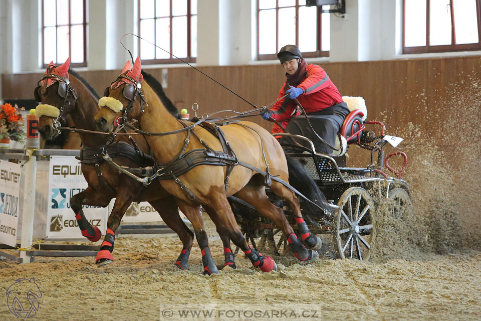 25.2.2017 - spřežení Brno