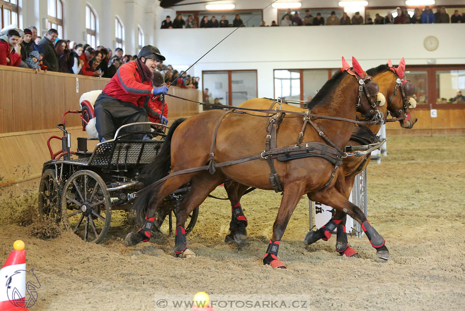 25.2.2017 - spřežení Brno