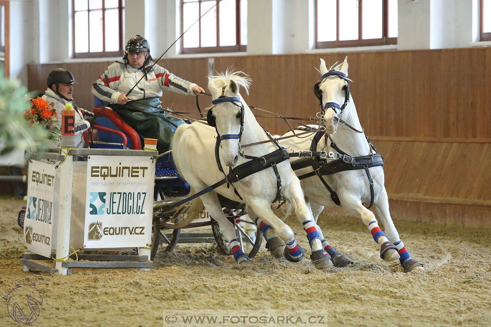 25.2.2017 - spřežení Brno