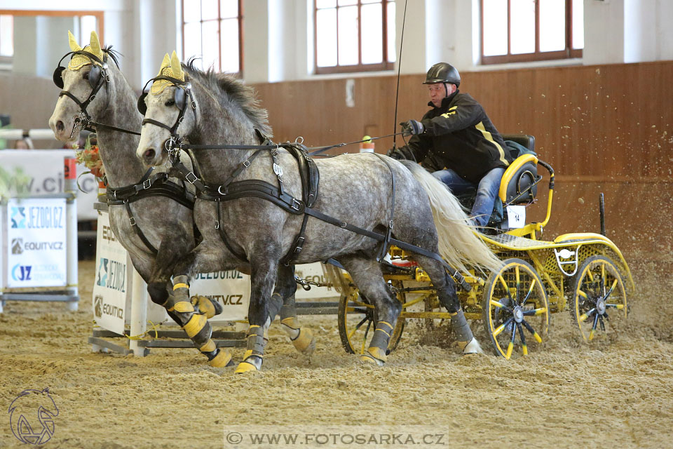 25.2.2017 - spřežení Brno