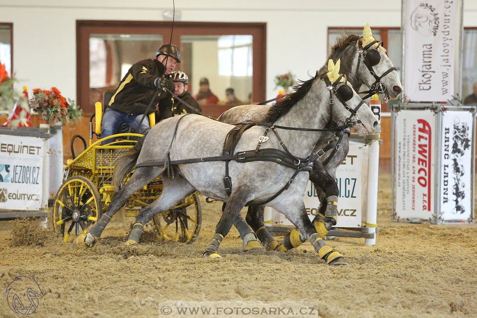 25.2.2017 - spřežení Brno