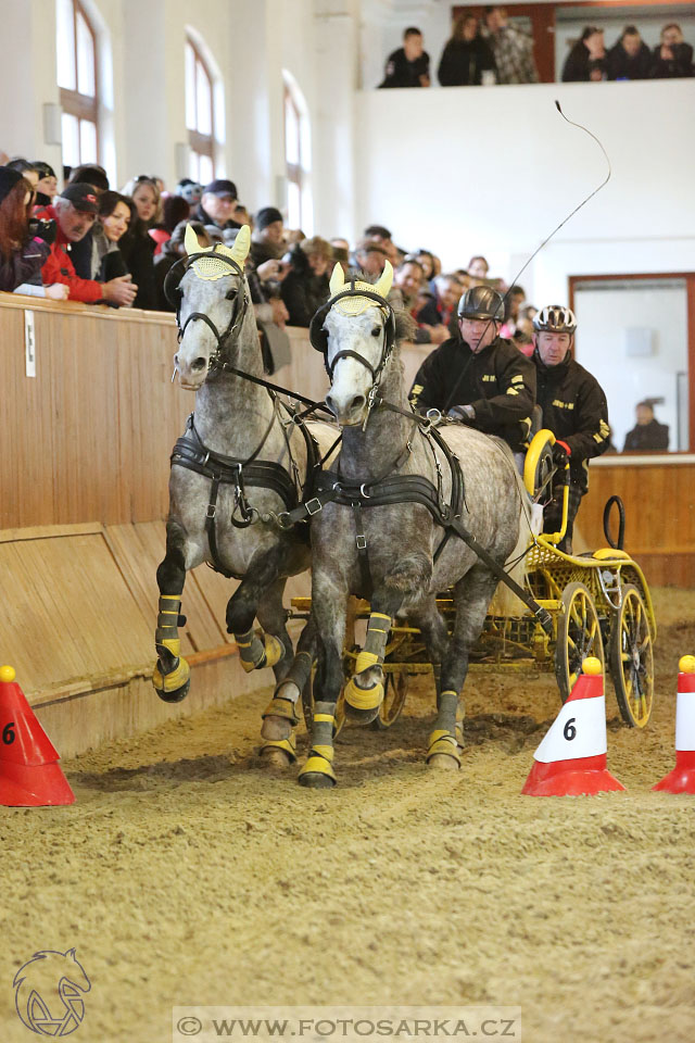 25.2.2017 - spřežení Brno