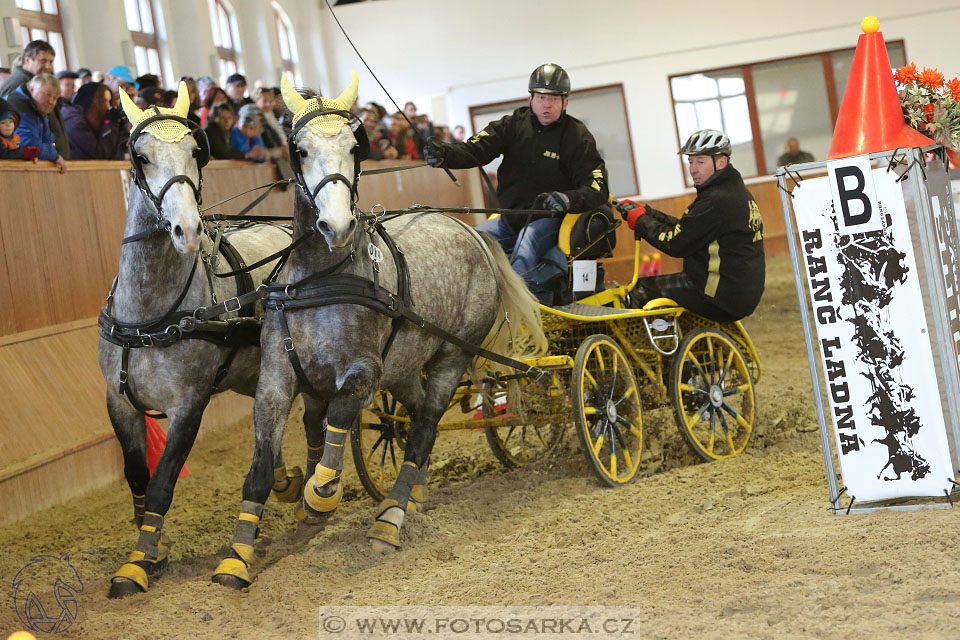 25.2.2017 - spřežení Brno