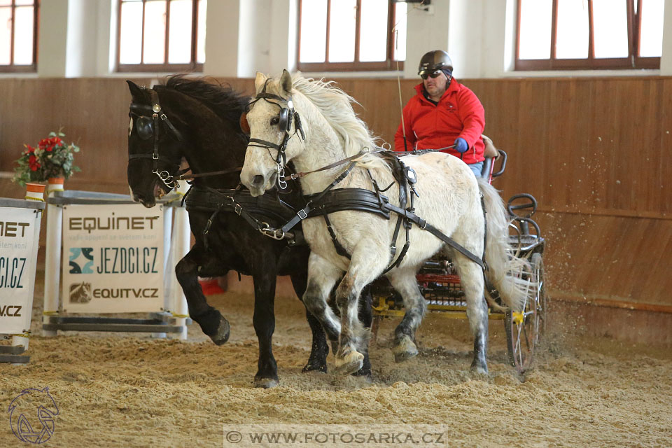 25.2.2017 - spřežení Brno