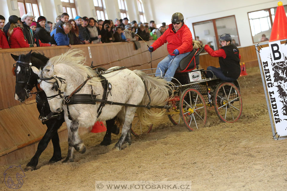 25.2.2017 - spřežení Brno