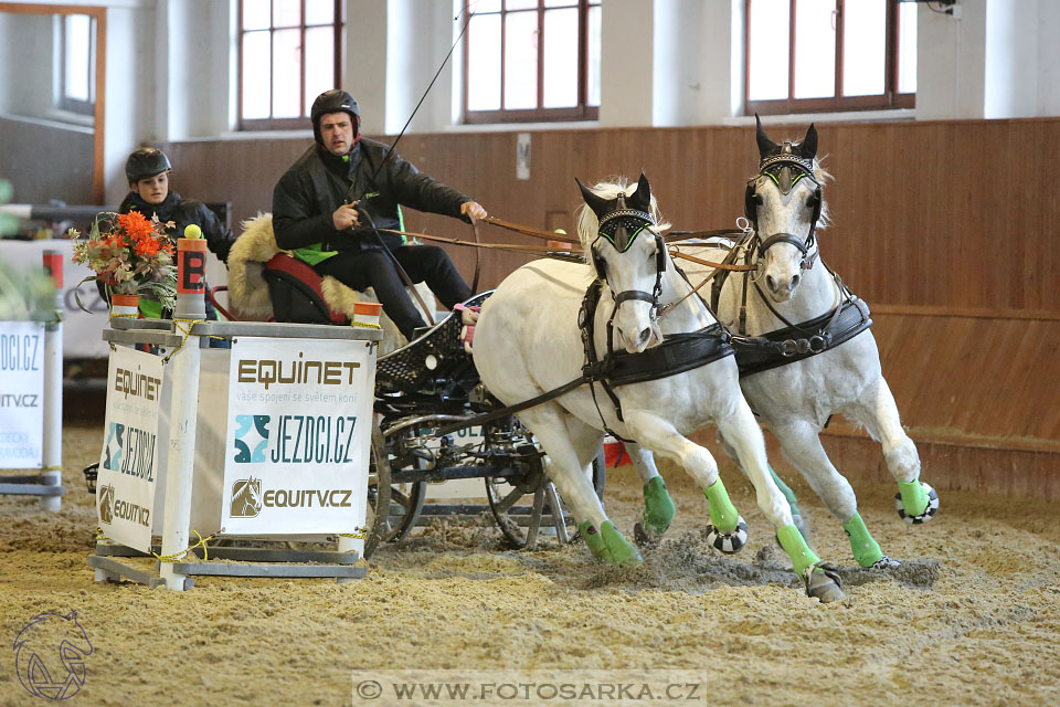 25.2.2017 - spřežení Brno