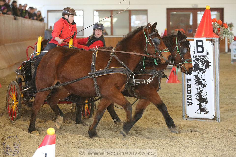 25.2.2017 - spřežení Brno