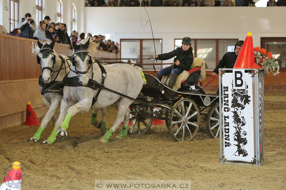 25.2.2017 - spřežení Brno