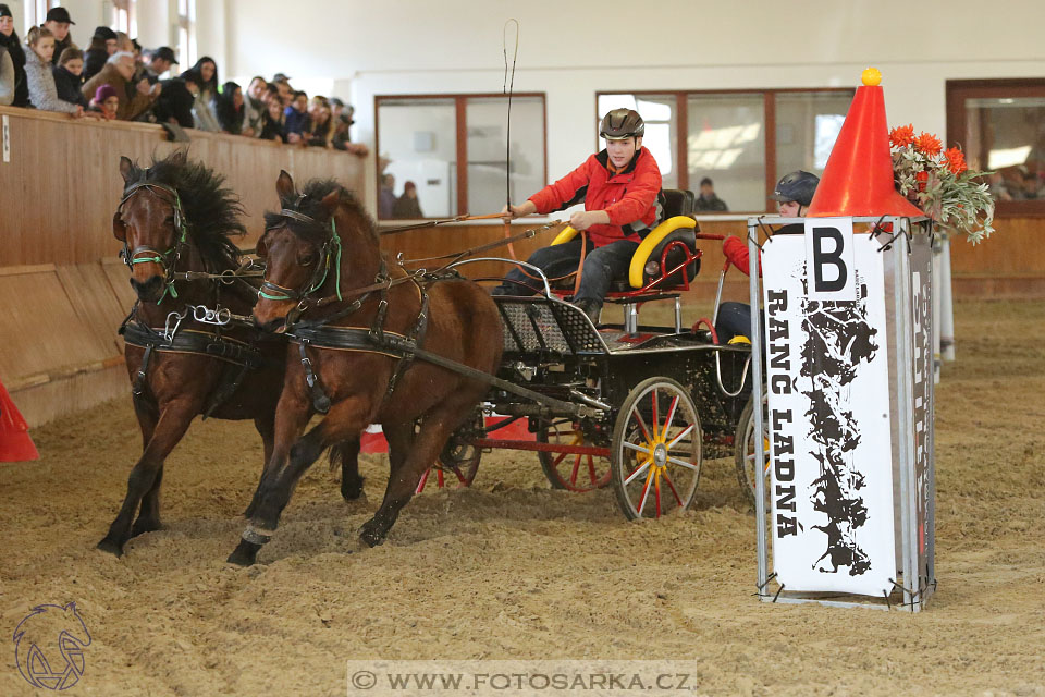 25.2.2017 - spřežení Brno