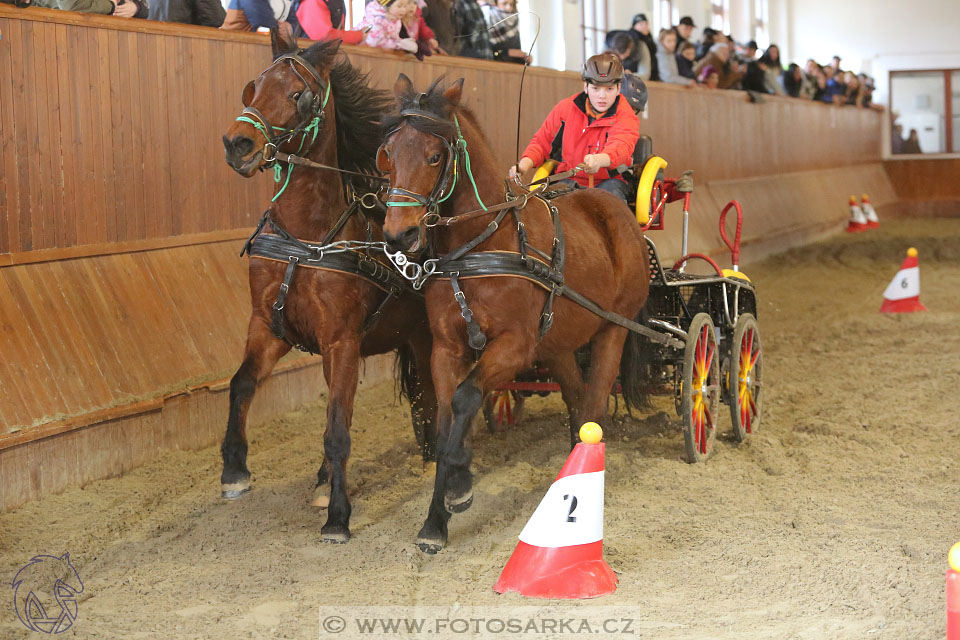 25.2.2017 - spřežení Brno