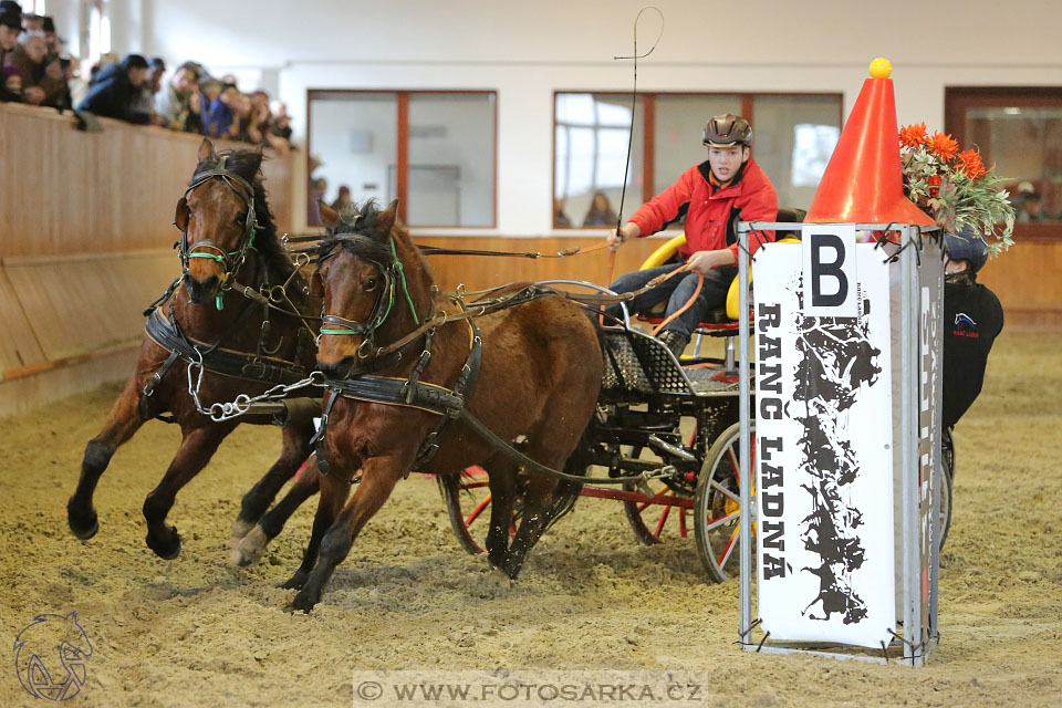 25.2.2017 - spřežení Brno