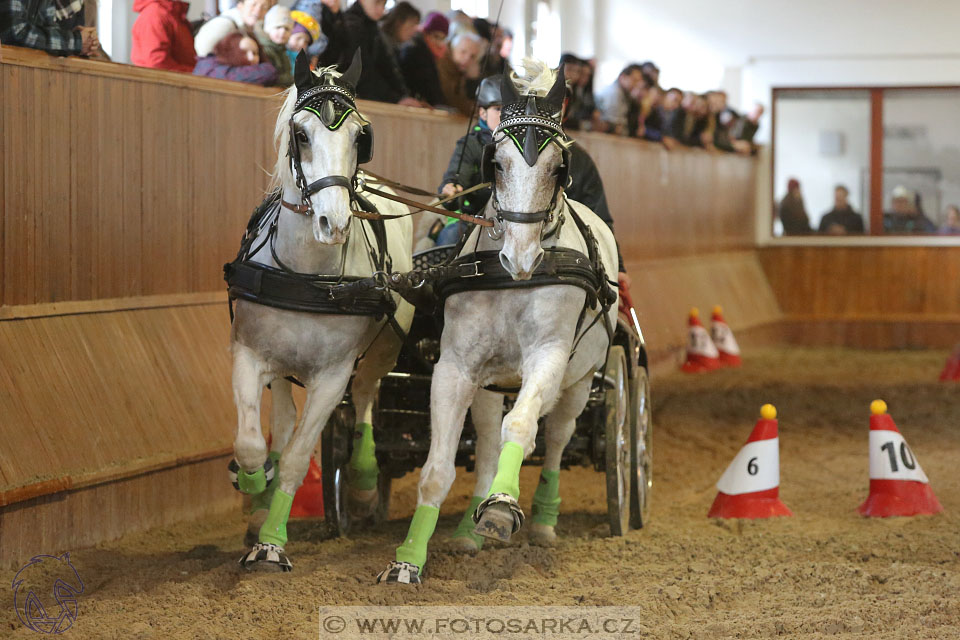 25.2.2017 - spřežení Brno