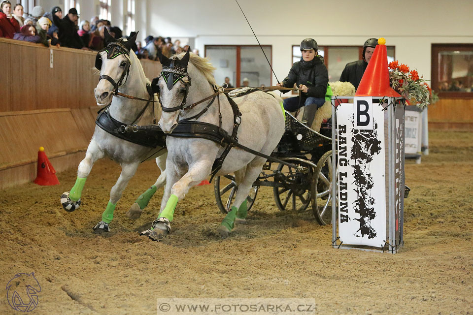 25.2.2017 - spřežení Brno