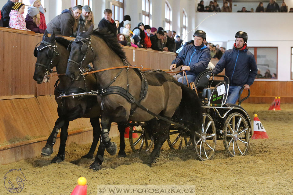 25.2.2017 - spřežení Brno